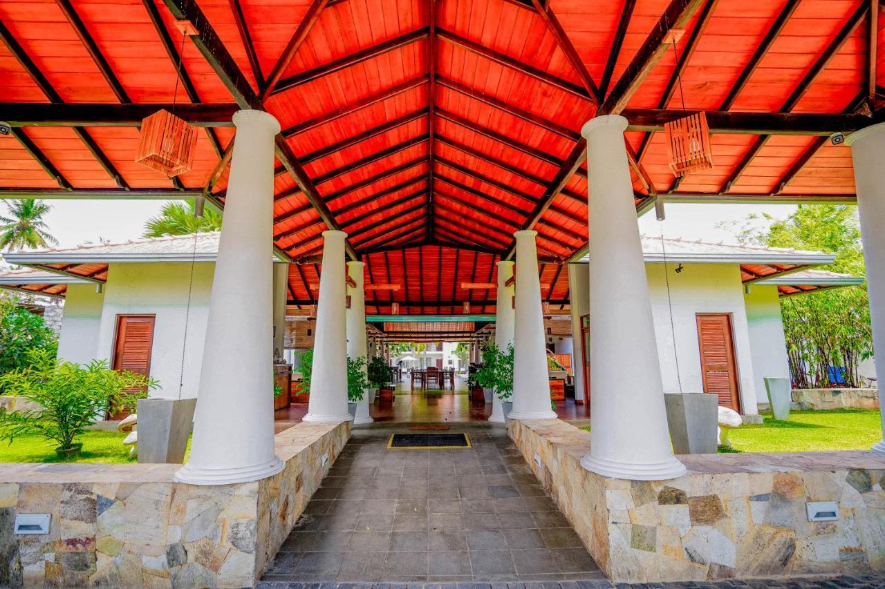 Hotel Tamarind Tree Tissamaharama Zewnętrze zdjęcie